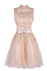 Sophisticated Champagne Tulle Zipper Homecoming Dress Sleeveless Knee Length Appliques