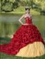 Appliques and Pick-ups Wine Red Brush Train Exquisite Style For 2013 Quinceanera Dress