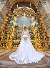 Chic Organza Sleeveless With Train Wedding Dresses Brush Train and Beading and Lace and Appliques