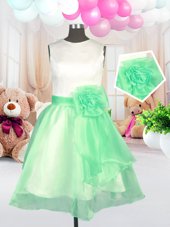 Amazing Scoop Apple Green Sleeveless Organza Zipper Toddler Flower Girl Dress for Military Ball and Sweet 16 and Quinceanera