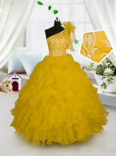 Super One Shoulder Organza Sleeveless Floor Length Little Girls Pageant Gowns and Embroidery and Ruffles