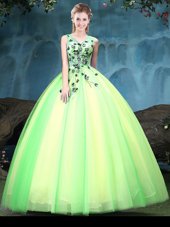 Enchanting Multi-color Tulle Lace Up V-neck Sleeveless Floor Length Quinceanera Gown Appliques