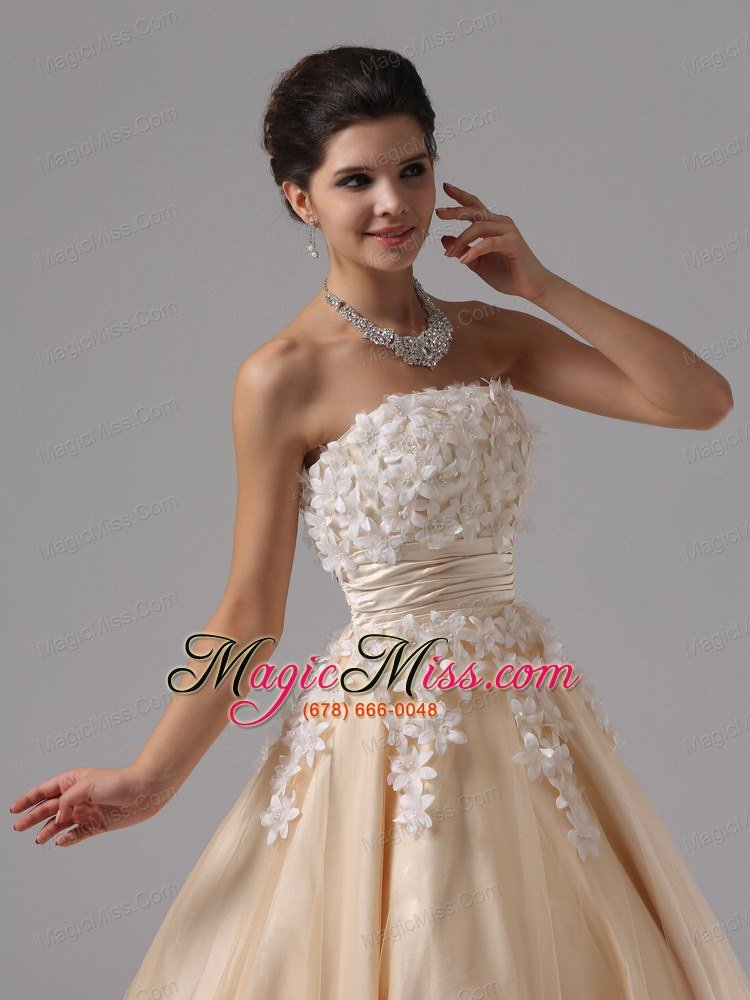wholesale champagne and appliques for 2013 ball gown prom dress floor-length in cambria california