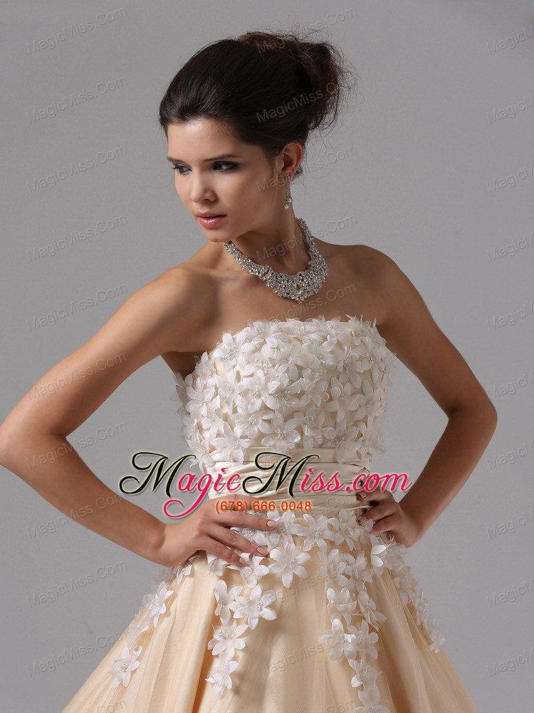 wholesale champagne and appliques for 2013 ball gown prom dress floor-length in cambria california