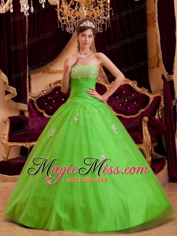 wholesale spring green a-line / princess strapless floor-length appliques tulle quinceanera dress