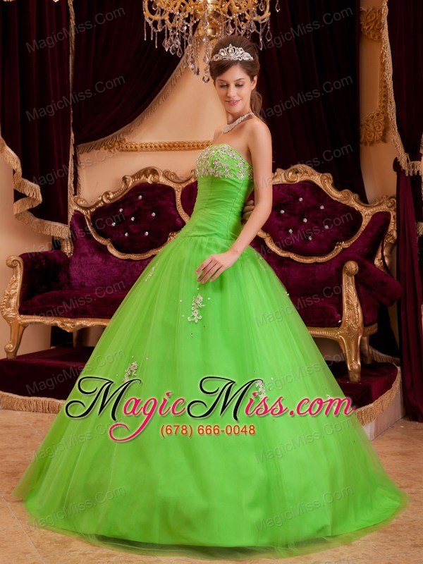wholesale spring green a-line / princess strapless floor-length appliques tulle quinceanera dress