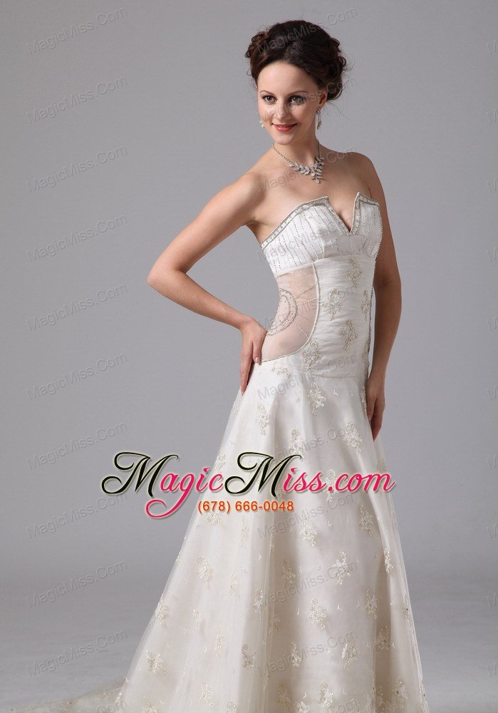 wholesale unique v-neck lace chapel train wedding dress with appliques for custom made in fayetteville georgia