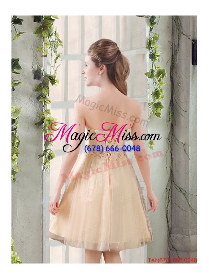 wholesale strapless appliques 2015 new dama dress in champagne