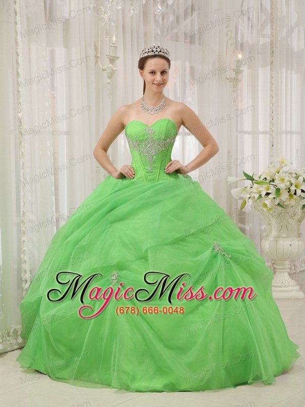 wholesale spring green ball gown sweetheart floor-length organza appliques quinceanera dress