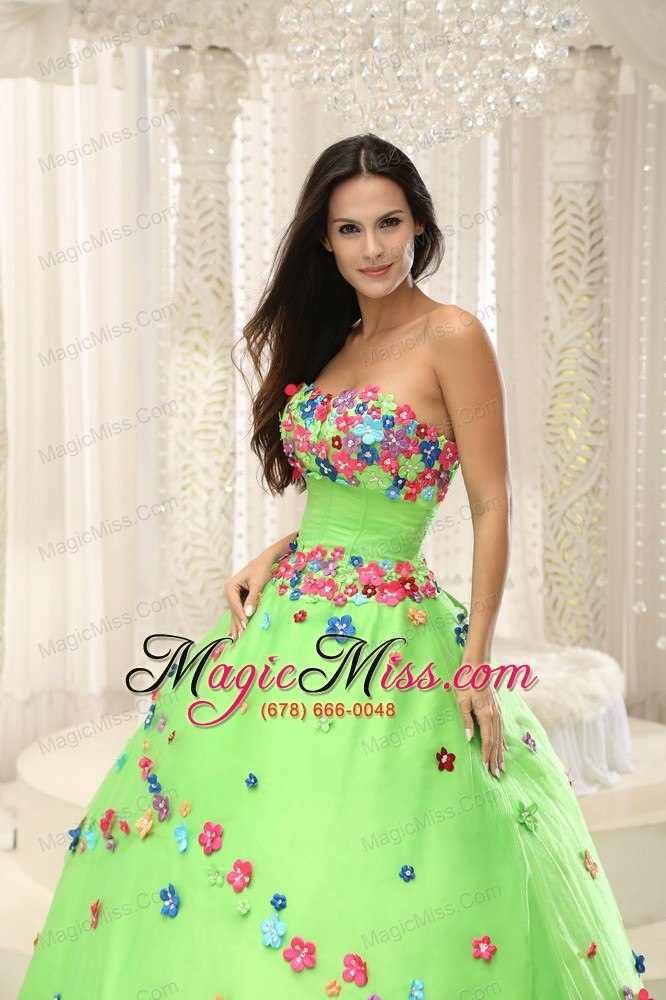 wholesale spring green ball gown 2013 quninceaera gown for custom made appliques decorate bodice