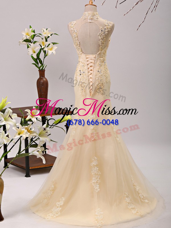 wholesale noble champagne empire v-neck 3 4 length sleeve tulle brush train lace up beading and lace and appliques mother of the bride dress