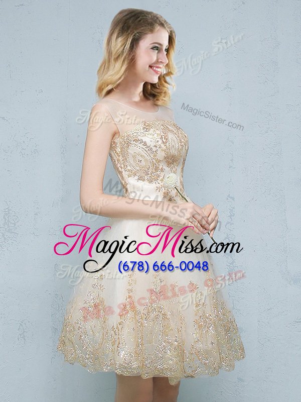 wholesale amazing scoop sleeveless tulle mini length lace up quinceanera court dresses in champagne for with appliques