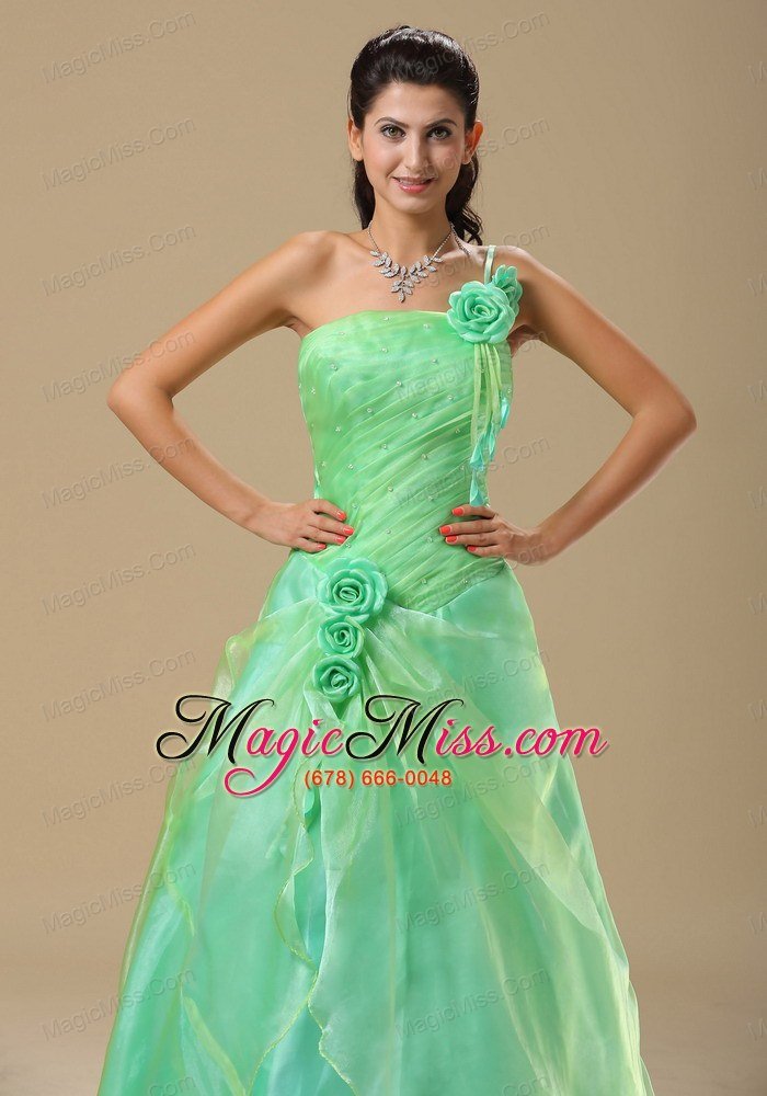 wholesale apple green hand made folwers and ruched bodice in springfield illinois for prom dress