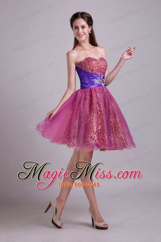 wholesale fuchsia a-line sweetheart short organza and zebra or leopard beading prom / homecoming dress