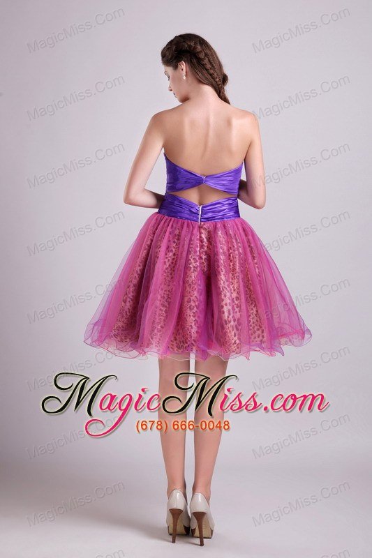 wholesale fuchsia a-line sweetheart short organza and zebra or leopard beading prom / homecoming dress