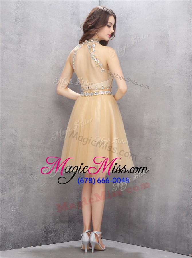 wholesale super a-line party dress champagne high-neck tulle sleeveless knee length zipper