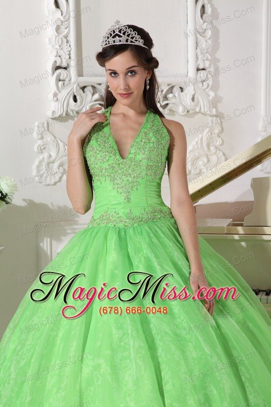 wholesale spring green ball gown halter floor-length taffeta and organza appliques quinceanera dress