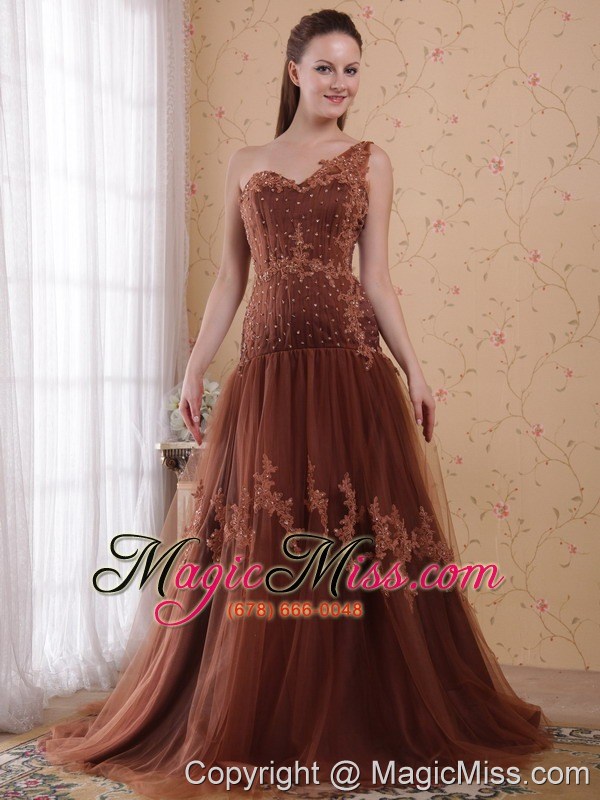 wholesale brown column / sheath one shoulder brush /sweep appliques tulle prom/pageant dress