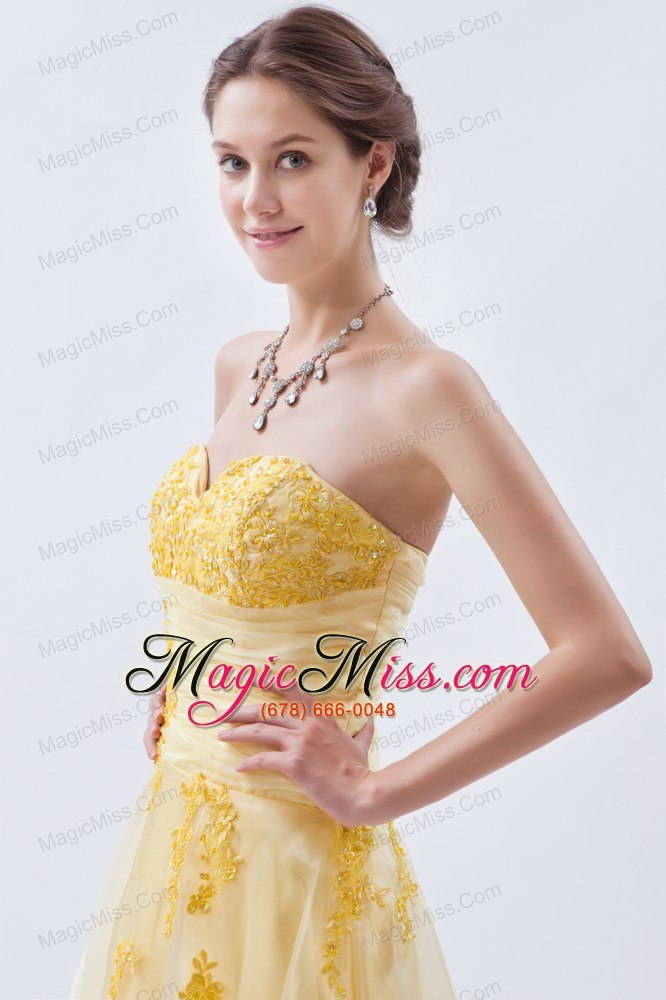 wholesale champagne a-line / princess sweetheart floor-length organza embroidery prom dress