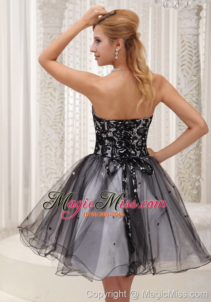 wholesale lace decorate up bodice black and white organza with sequins sweet prom / cocktail dress for 2013