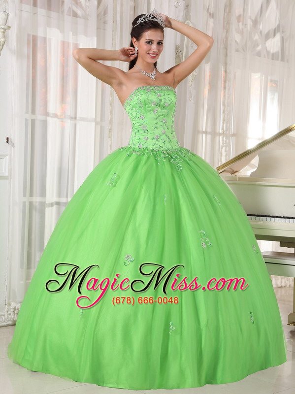 wholesale spring green ball gown strapless floor-length taffeta and tulle appliques quinceanera dress