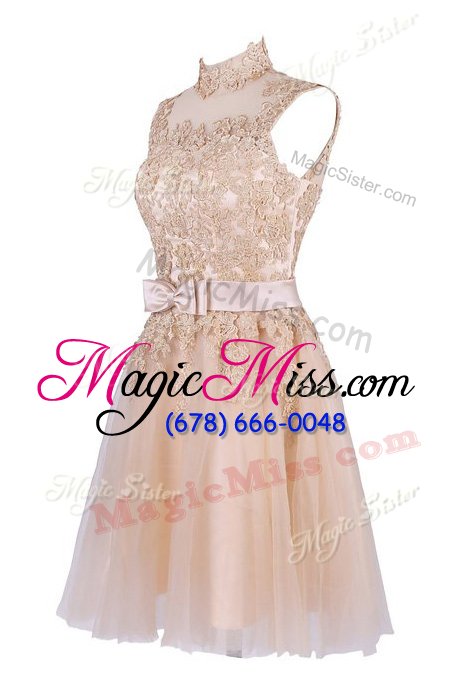 wholesale sophisticated champagne tulle zipper homecoming dress sleeveless knee length appliques