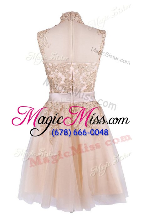 wholesale sophisticated champagne tulle zipper homecoming dress sleeveless knee length appliques