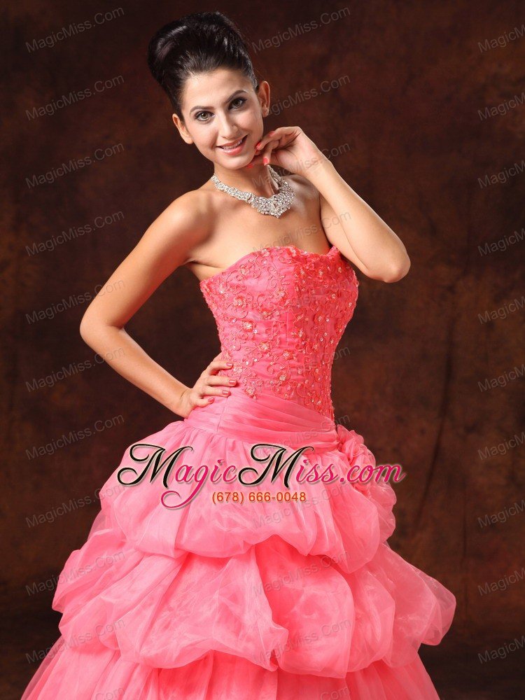 wholesale watermelon hand made flowers and appliques a-line strapless organza 2013 new arrival prom gowns for custom made
