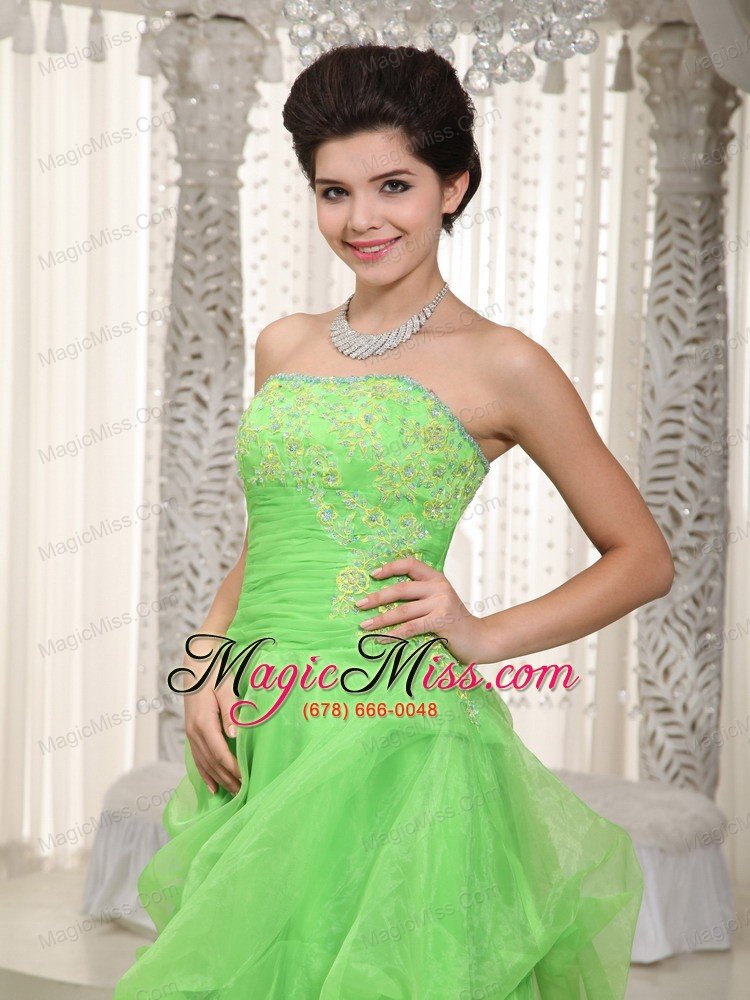 wholesale green empire strapless floor-length organza appliques prom / evening dress