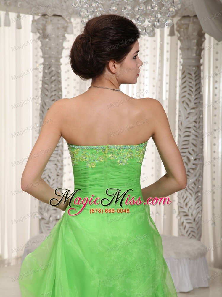 wholesale green empire strapless floor-length organza appliques prom / evening dress